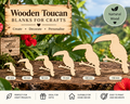 Wooden Toucan Craft Shapes– Laser Cut Plywood Craft Embellishments | 30–150 mm