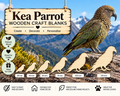 Wooden Kea Parrot Craft Shapes– Laser Cut Plywood Craft Embellishments | 30–150 mm